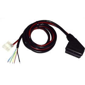 Cable RGB-SCART Arcade con molex