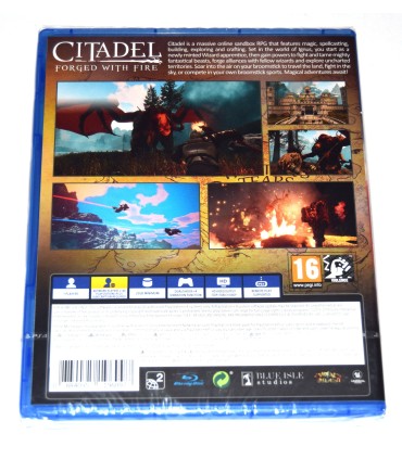 Juego Playstation 4 Citadel Forged With Fire (nuevo)